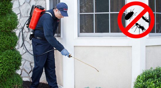 Ordu Akrep İlaçlama böcek ilaçlama ve haşere kontrolü — ilaclama-tr.com